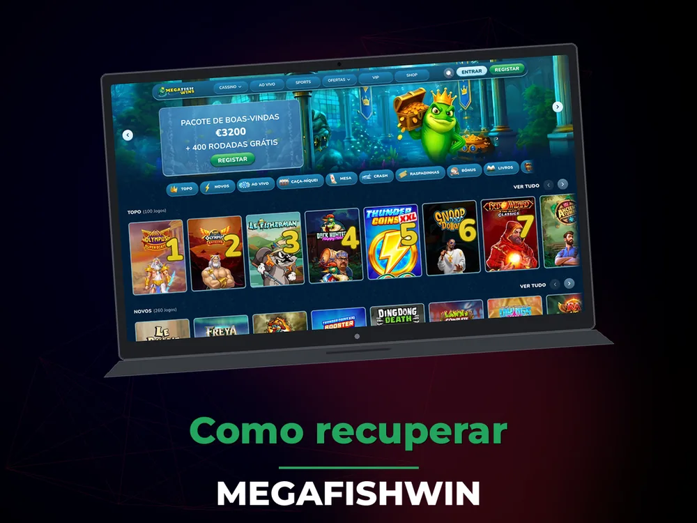 Megafishwin - Como recuperar