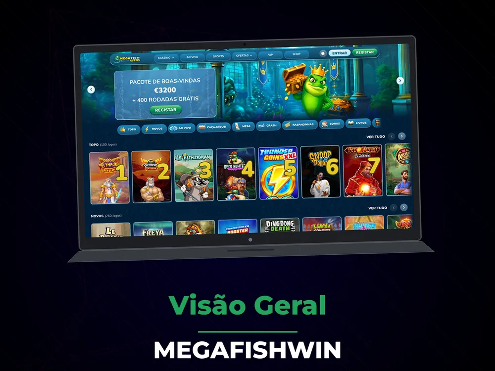 Megafishwin - Visão Geral