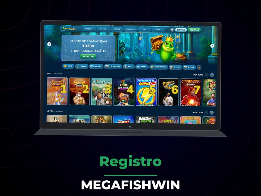 Megafishwin - Registro